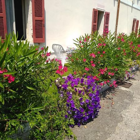 Albergo Grifone 1891 Peschiera del Garda Extérieur photo